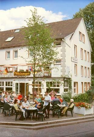 Hotel Haus Steinmeyer à Bad Pyrmont Extérieur photo